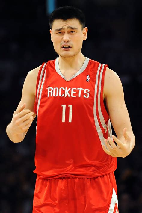 yao.ming stats|More.